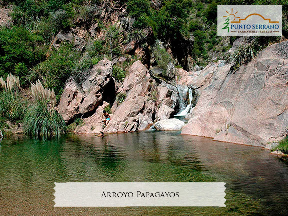 Papagayos