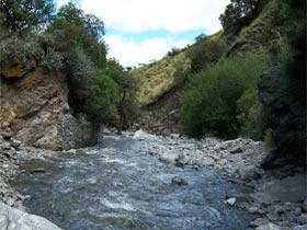 Arroyo el Rincon - Merlo San Luis